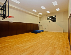 Southridge Estate Indoor Basketball Court